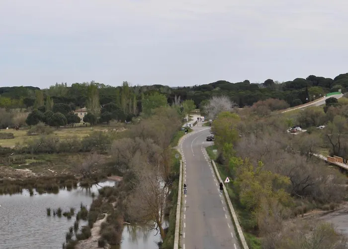 Vacances En Camargue Proche De La Mer Climatise