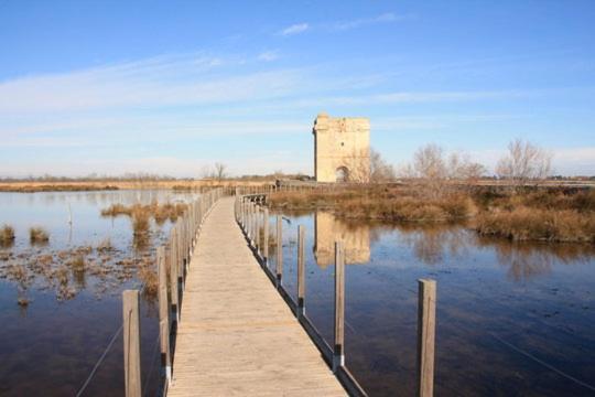 En Camargue Proche De La Climatise Apartment *