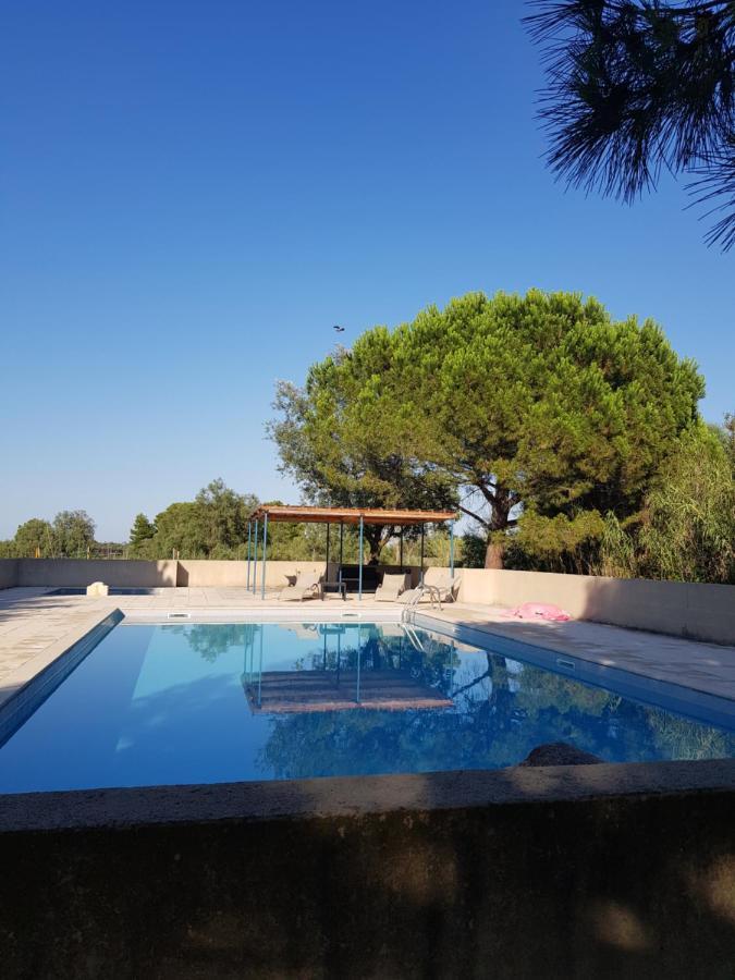 Apartment En Camargue Proche De La Climatise *