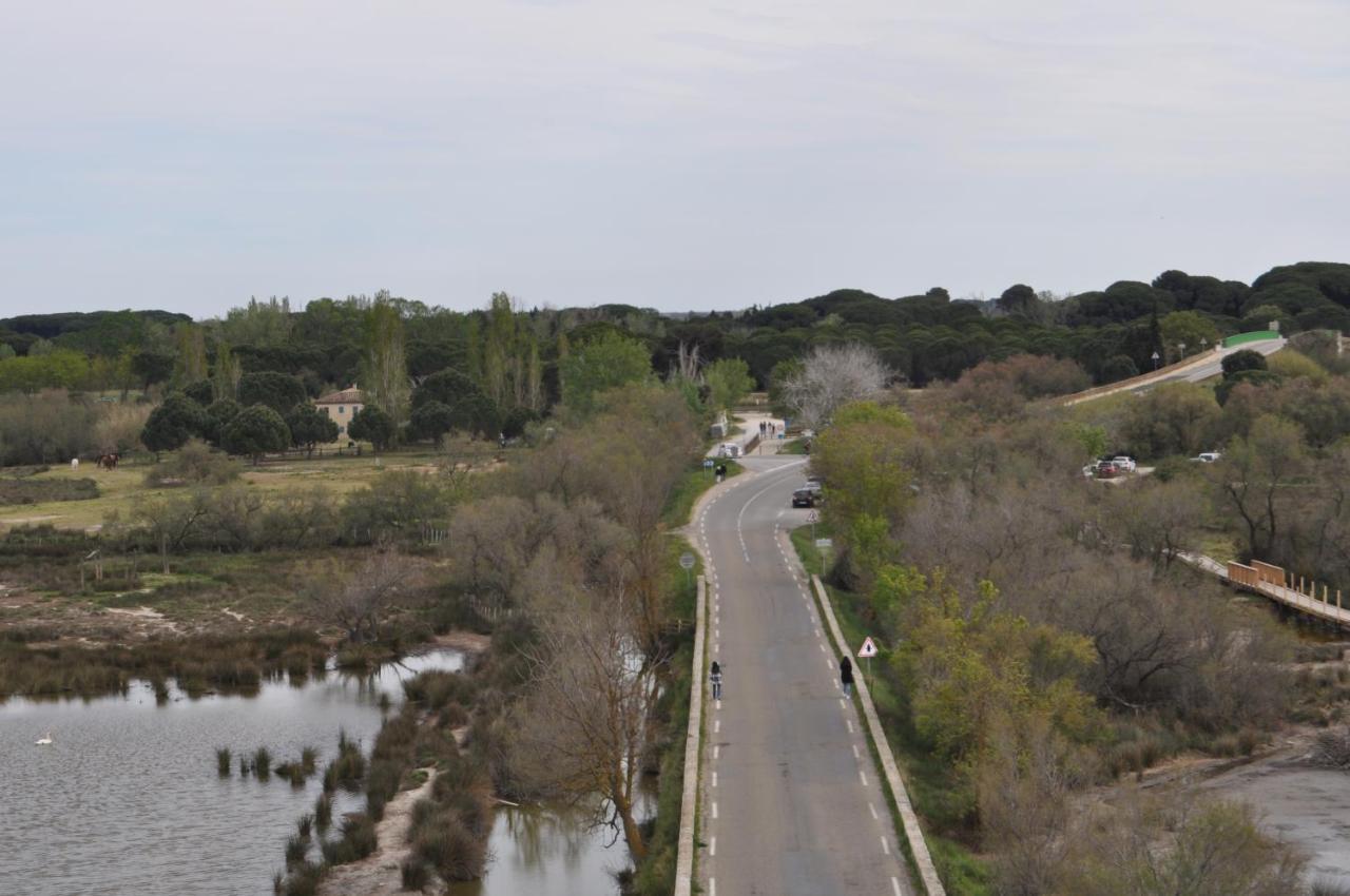 En Camargue Proche De La Climatise * Aigues-Mortes