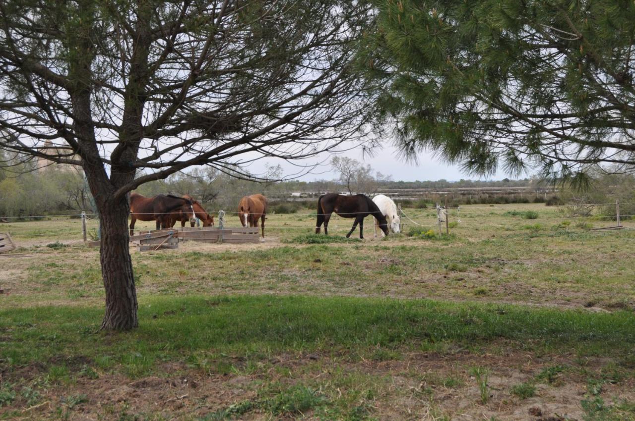 Apartment En Camargue Proche De La Climatise Aigues-Mortes